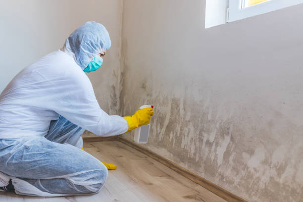 Commercial Mold Remediation assessment for commercial property in Bryn Mawr